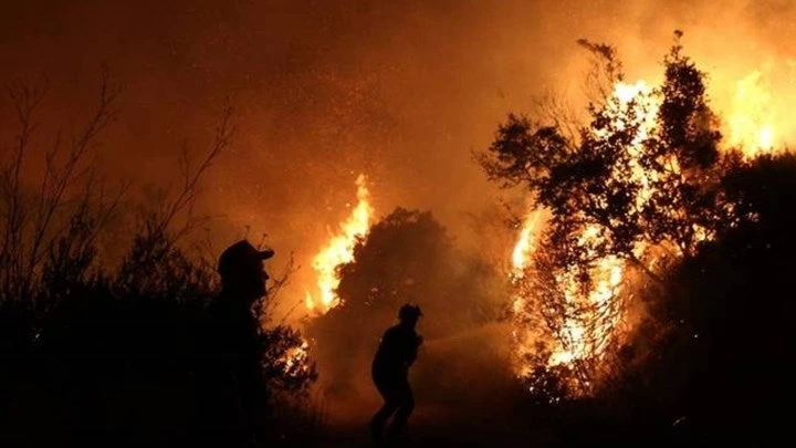 Πυροσβεστική Υπηρεσία: Μέσα σε 24 ώρες ξέσπασαν 56 δασικές πυρκαγιές